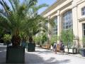 jardin-des-plantes-l-orangerie