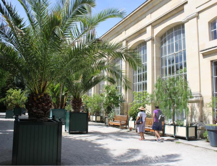 jardin-des-plantes-l-orangerie