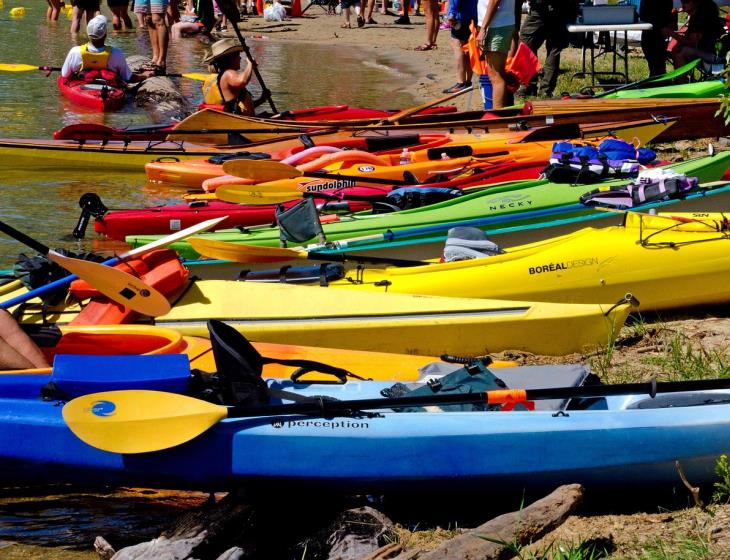 kayaks-4819442_1280