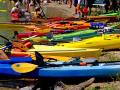 kayaks-4819442_1280