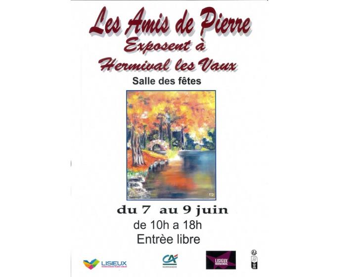 les amis de Pierre