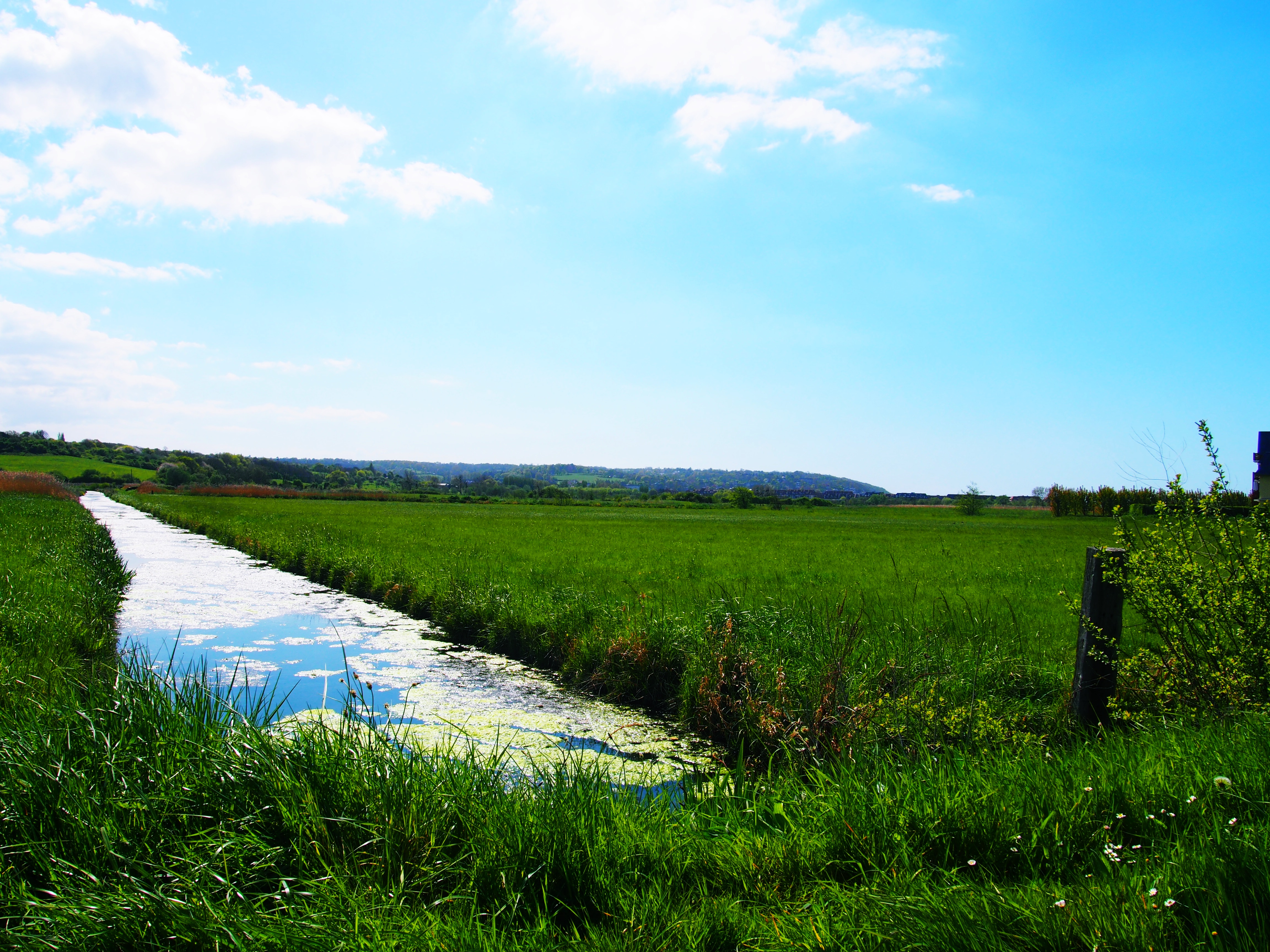 marais5 - ©BIT BBT marais5 - ©BIT BBT
