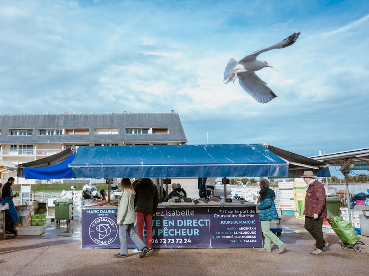 marche-aux-poissons-courseulles-credit-ibrahim-hendy-normandie-tourisme (1)