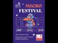 micro festival