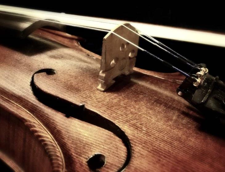 Violon