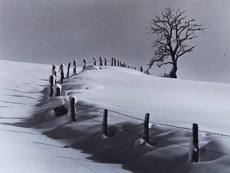 neige-Malon2017Museevire - ©Musée de Vire/C. Malon neige-Malon2017Museevire - ©Musée de Vire/C. Malon