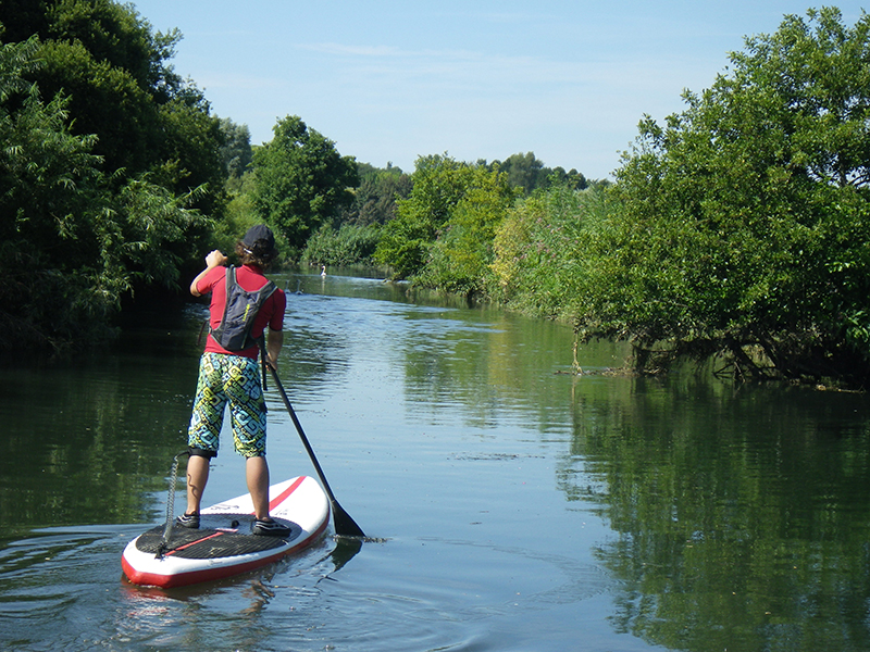 paddle dans les marais de la Touques avec North Shore - ©© North Shore paddle dans les marais de la Touques avec North Shore - ©© North Shore