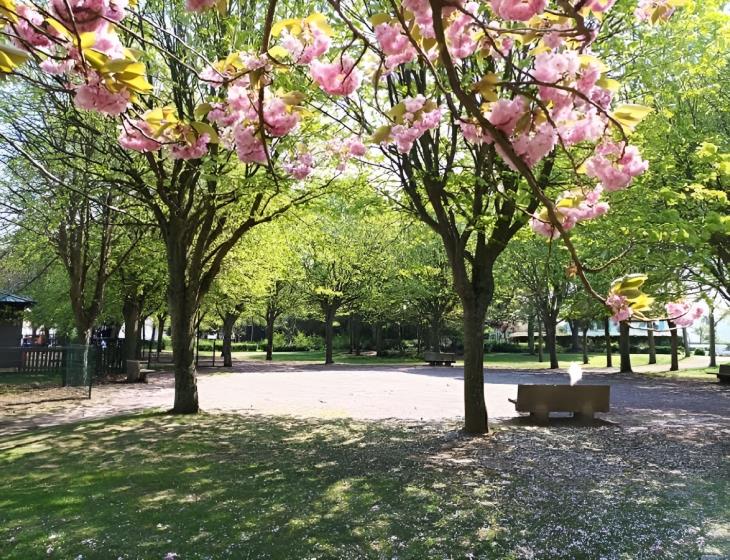 parc verdun (5)