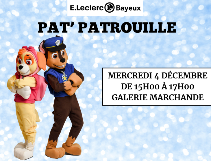 animation pat patrouille