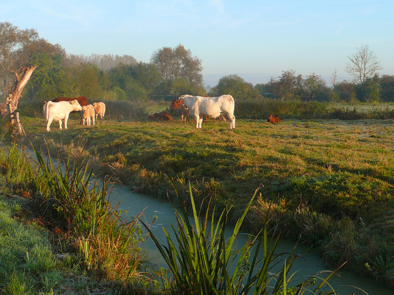 paysage-marais-calvados - ©Calvados Tourisme paysage-marais-calvados - ©Calvados Tourisme