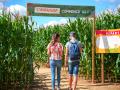 photo-entre-labyrinthe