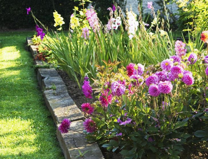 photo-fleurs.jpg