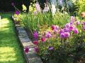 photo-fleurs.jpg