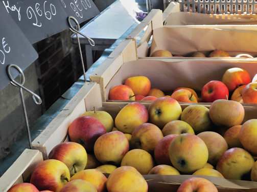 Marché de Villers-sur-Mer