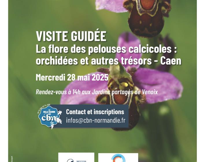 programme-sorties-botaniques-normandie-2025_page_04