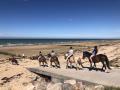 promenade-a-cheval-balade-a-la-mer-courseulles-equitation-credit-mathilde-lelandais (14)