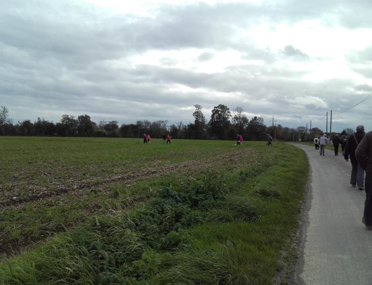 rando automnale Géfosse-Fontenay 2017 (6)