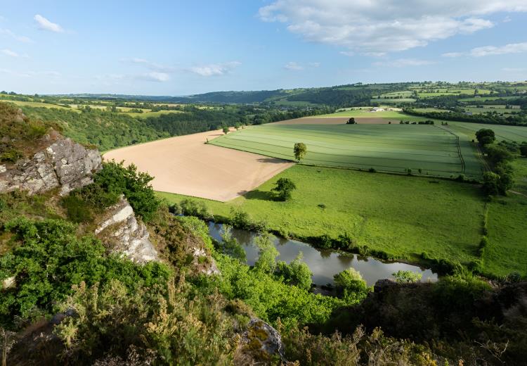 Vue sur les prairies depuis les rochers des Parcs. / © Thierry Houyel
