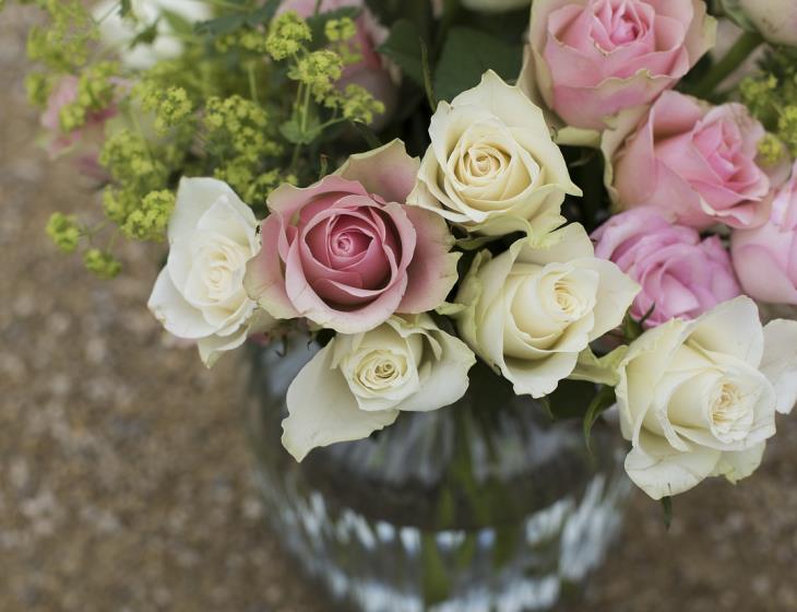 roses-1867911_1280