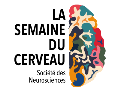 semaine_cerveau_800x600