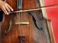 violoncelle