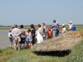 Gabion flottant Sallenelles