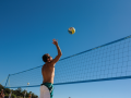 volley-800x600--Anthony-Ceccarelli
