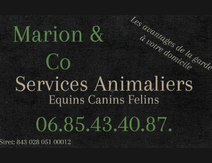 w-1600-h-1600-zc-5-services-animaliers-marion-and-co-1-1570789618